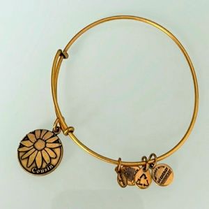 Alex and Ani COUSIN Gold Charms Bracelet.